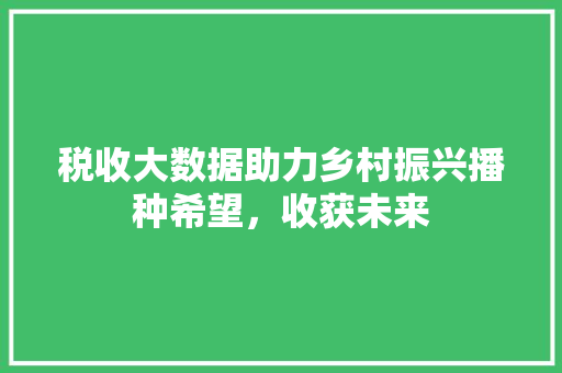 税收大数据助力乡村振兴播种希望，收获未来