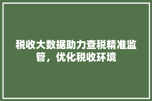 税收大数据助力查税精准监管，优化税收环境