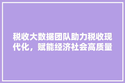 税收大数据团队助力税收现代化，赋能经济社会高质量发展