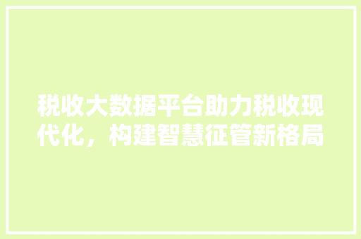 税收大数据平台助力税收现代化，构建智慧征管新格局