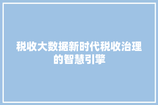 税收大数据新时代税收治理的智慧引擎