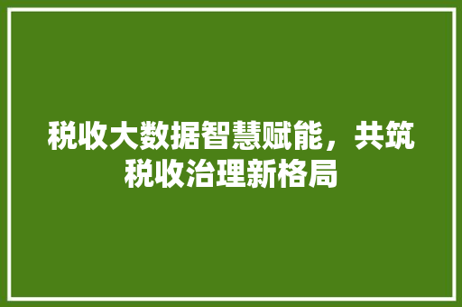 税收大数据智慧赋能，共筑税收治理新格局