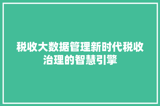 税收大数据管理新时代税收治理的智慧引擎