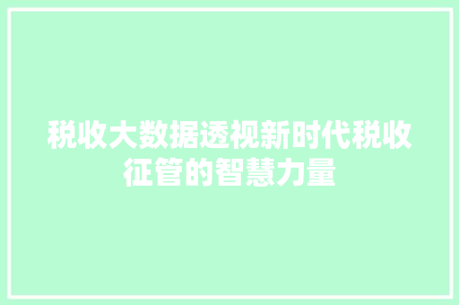 税收大数据透视新时代税收征管的智慧力量