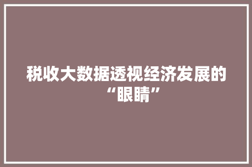 税收大数据透视经济发展的“眼睛”
