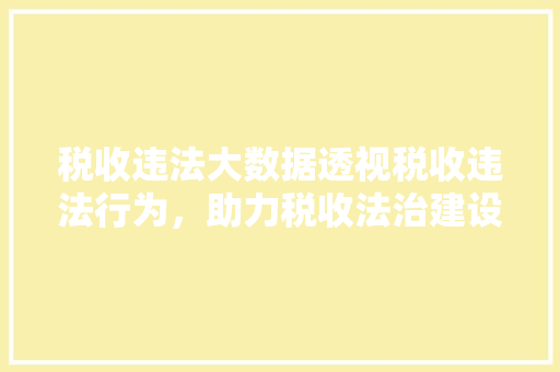 税收违法大数据透视税收违法行为，助力税收法治建设