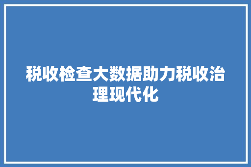 税收检查大数据助力税收治理现代化