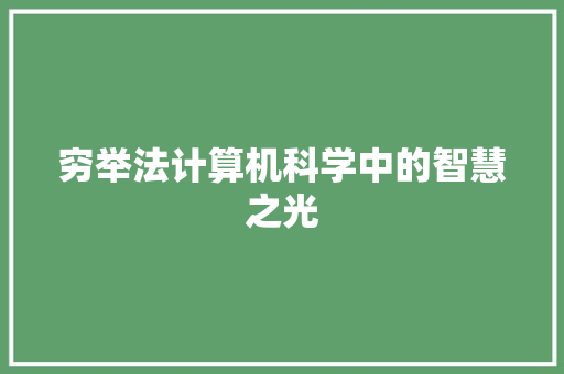 穷举法计算机科学中的智慧之光