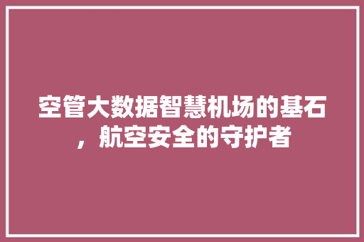 空管大数据智慧机场的基石，航空安全的守护者 缓存Redis