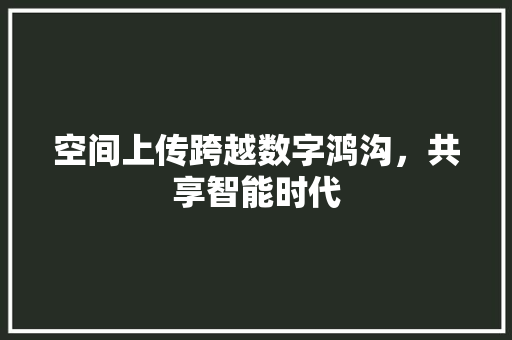 空间上传跨越数字鸿沟，共享智能时代