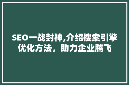 SEO一战封神,介绍搜索引擎优化方法，助力企业腾飞 网站建设