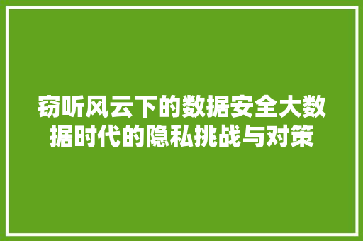 窃听风云下的数据安全大数据时代的隐私挑战与对策