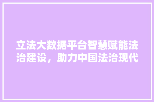 立法大数据平台智慧赋能法治建设，助力中国法治现代化