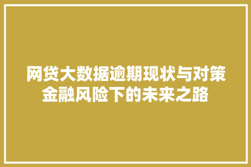 网贷大数据逾期现状与对策金融风险下的未来之路