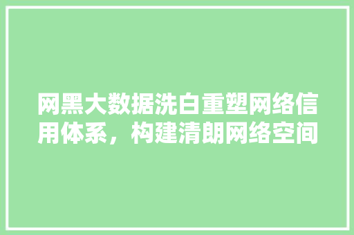 网黑大数据洗白重塑网络信用体系，构建清朗网络空间