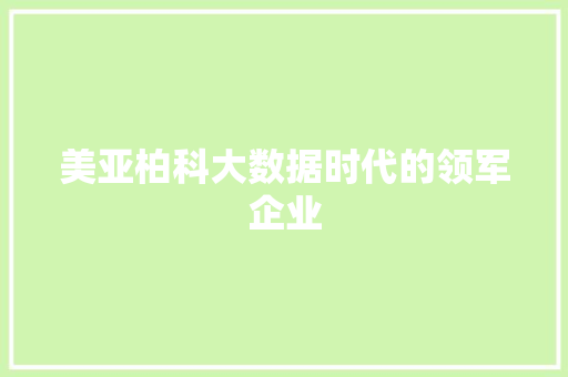 美亚柏科大数据时代的领军企业