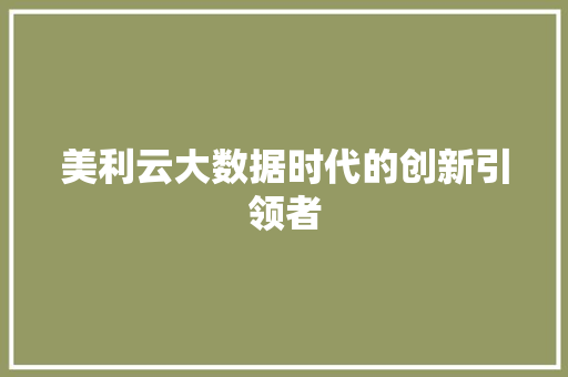 美利云大数据时代的创新引领者