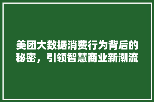 美团大数据消费行为背后的秘密，引领智慧商业新潮流