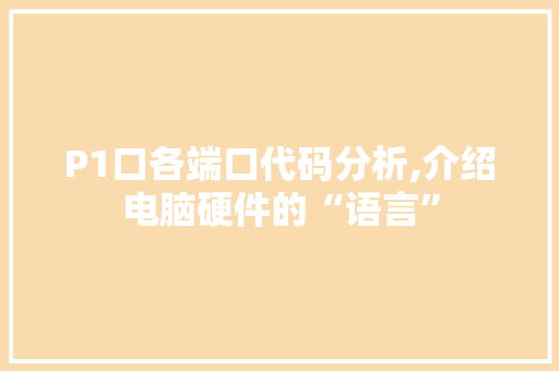 P1口各端口代码分析,介绍电脑硬件的“语言”