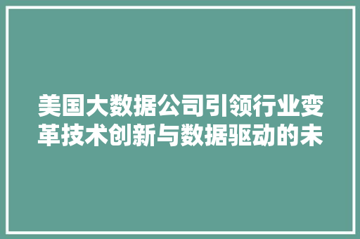 美国大数据公司引领行业变革技术创新与数据驱动的未来