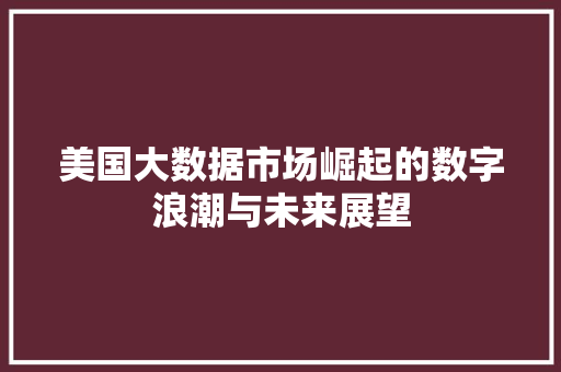 美国大数据市场崛起的数字浪潮与未来展望