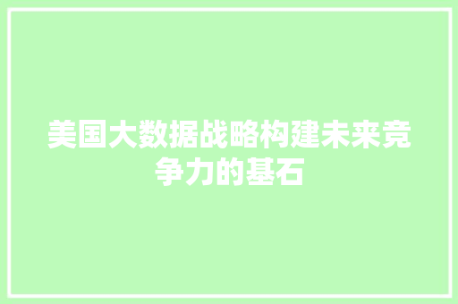 美国大数据战略构建未来竞争力的基石