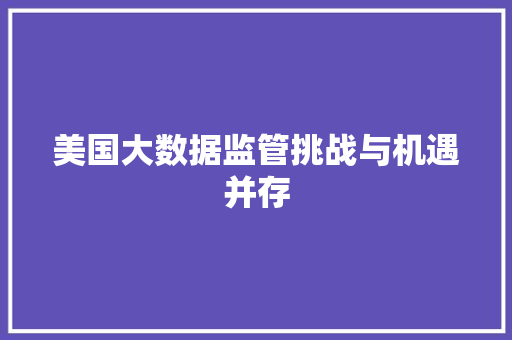 美国大数据监管挑战与机遇并存