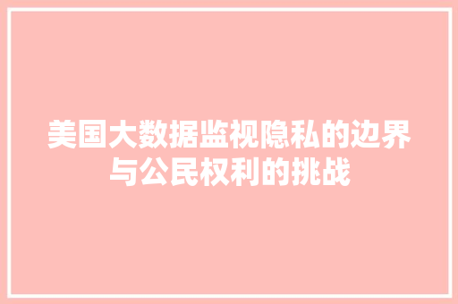 美国大数据监视隐私的边界与公民权利的挑战