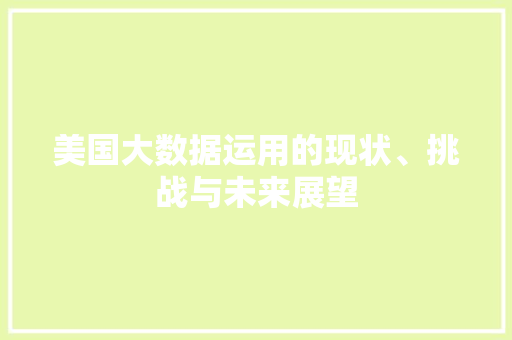 美国大数据运用的现状、挑战与未来展望