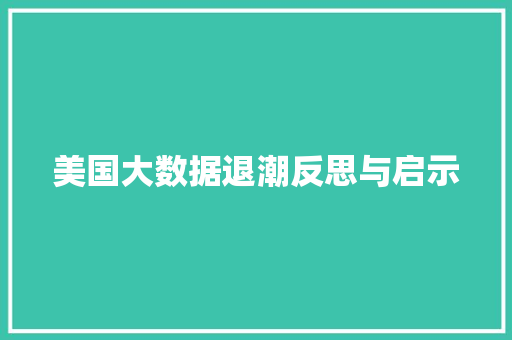 美国大数据退潮反思与启示