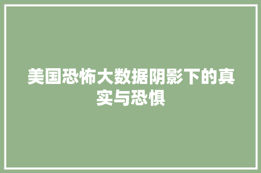 美国恐怖大数据阴影下的真实与恐惧