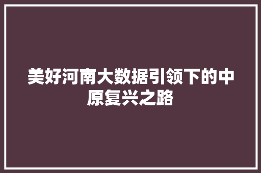 美好河南大数据引领下的中原复兴之路