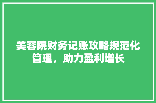 美容院财务记账攻略规范化管理，助力盈利增长