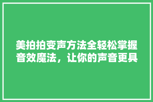 美拍拍变声方法全轻松掌握音效魔法，让你的声音更具魅力