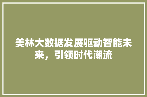 美林大数据发展驱动智能未来，引领时代潮流