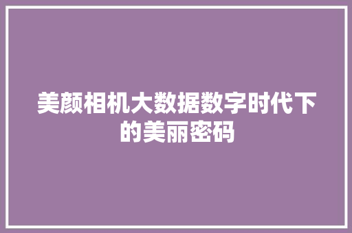 美颜相机大数据数字时代下的美丽密码
