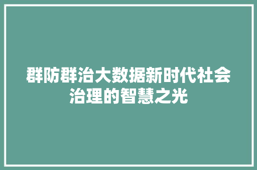 群防群治大数据新时代社会治理的智慧之光
