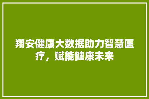 翔安健康大数据助力智慧医疗，赋能健康未来