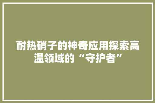 耐热硝子的神奇应用探索高温领域的“守护者”