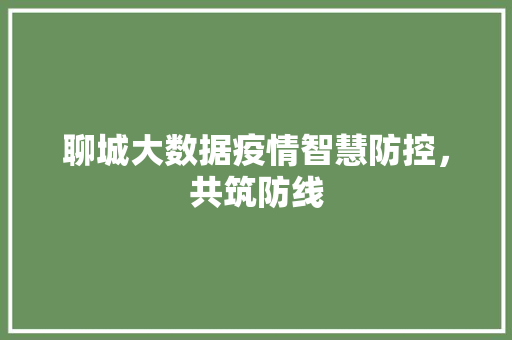 聊城大数据疫情智慧防控，共筑防线