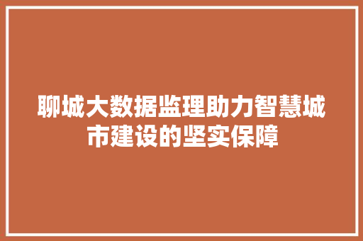 聊城大数据监理助力智慧城市建设的坚实保障