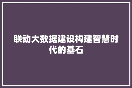 联动大数据建设构建智慧时代的基石