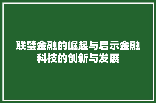 联璧金融的崛起与启示金融科技的创新与发展