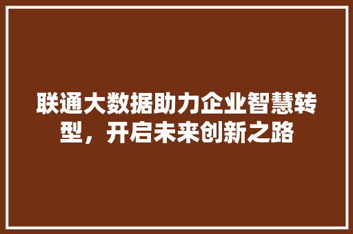 联通大数据助力企业智慧转型，开启未来创新之路