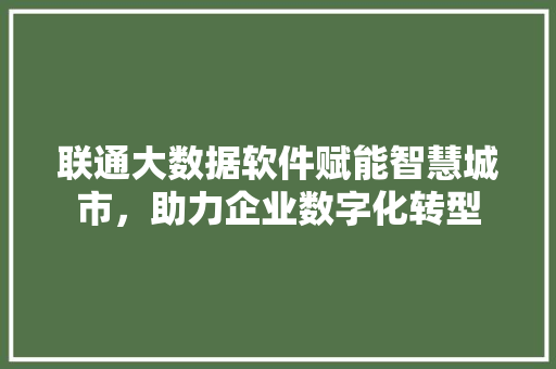 联通大数据软件赋能智慧城市，助力企业数字化转型
