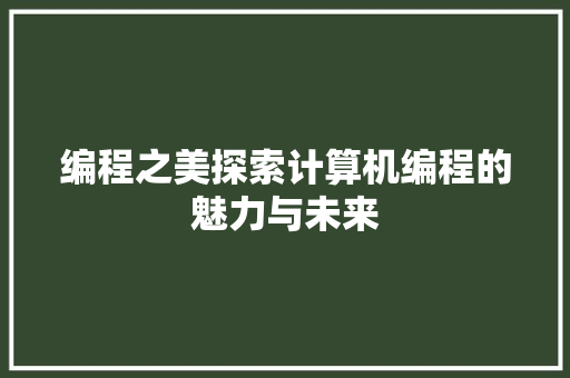 编程之美探索计算机编程的魅力与未来