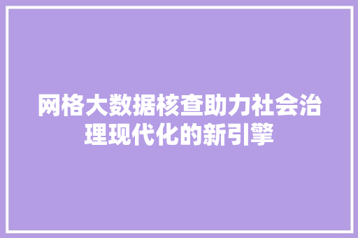 网格大数据核查助力社会治理现代化的新引擎