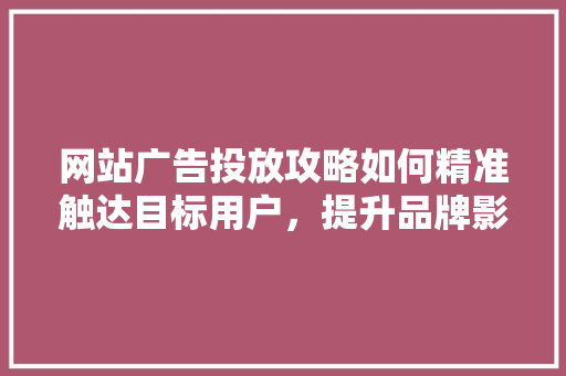 网站广告投放攻略如何精准触达目标用户，提升品牌影响力