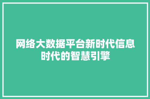 网络大数据平台新时代信息时代的智慧引擎