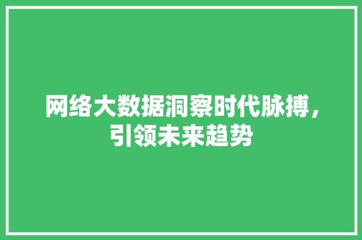 网络大数据洞察时代脉搏，引领未来趋势